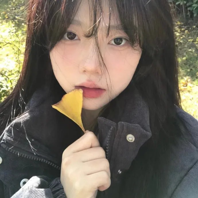 嘉庆传奇